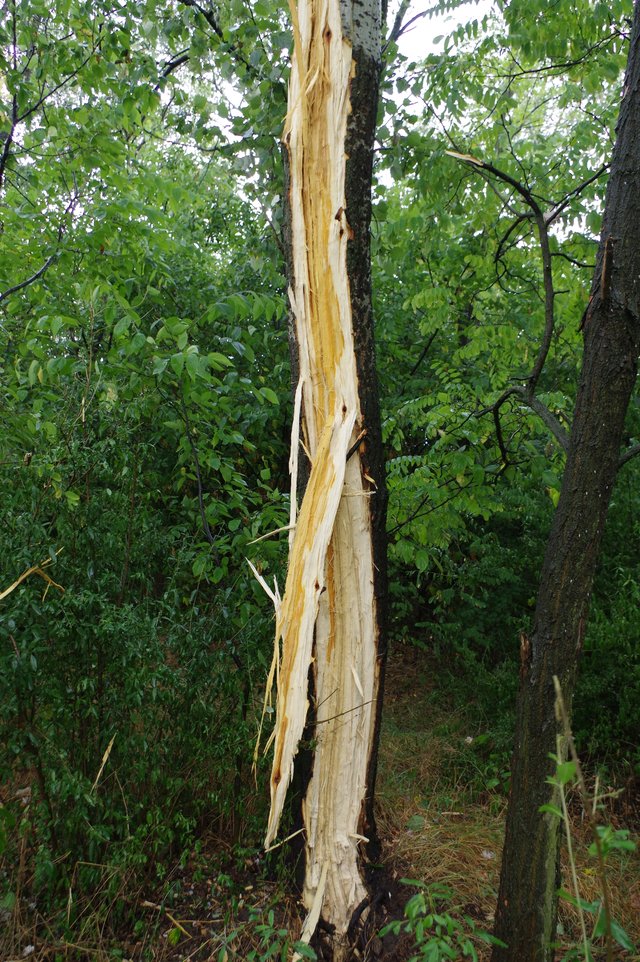 7. ábra