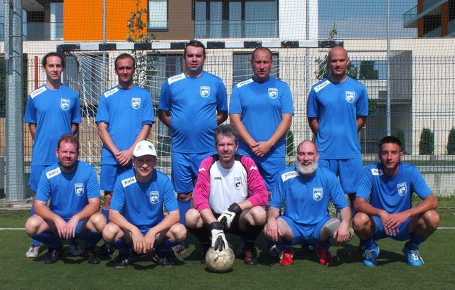 kozig_foci_2013
