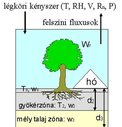 2. ábra