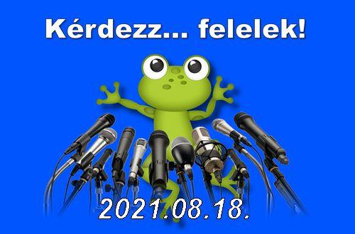 Kérdezz... felelek! (2021.08.18.)
