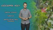Esőcseppek, hol?!