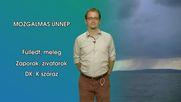 Mozgalmas ünnep