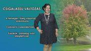 Csigalassú változás
