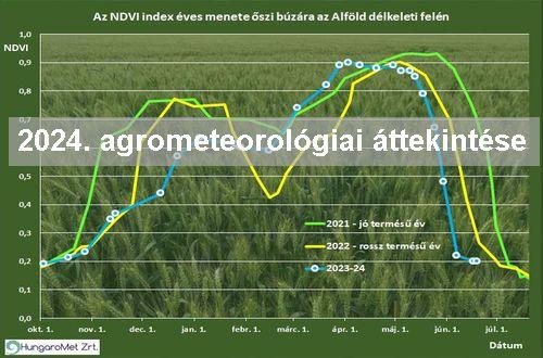 A 2024-es év agrometeorológiai áttekintése