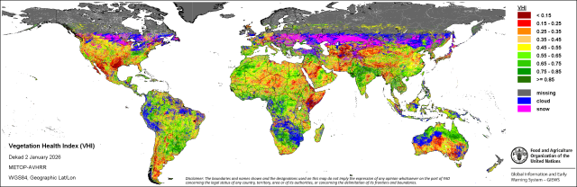 2026. januári nemzetközi agrometeorológiai helyzetkép