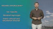 Medárdi záporocskák?