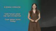 Éjszaka vonulók