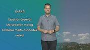 Baráti