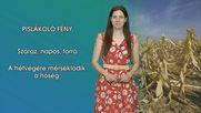 Pislákoló fény